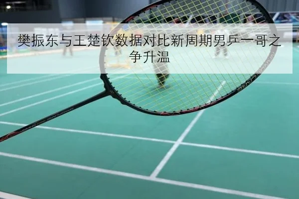 樊振东与王楚钦数据对比新周期男乒一哥之争升温